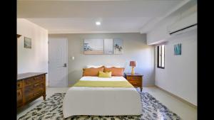 Malecon Premium Plus