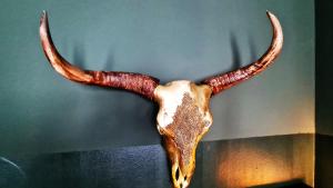 Boutique Apartments Vienna - Design 6