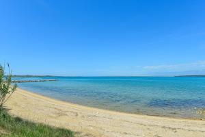 Apartment Nin 13172d