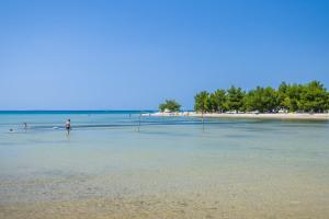 Apartment Zaton 15000c