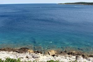 Apartment Milna 2461c