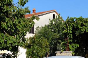 Apartment Novigrad 2536d