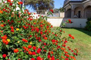 Casa Vacanza da Marco img23