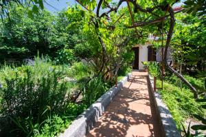 Apartment Barbat 4977a