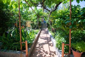 Apartment Barbat 4977a