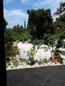 Apartment Blaca 4899e