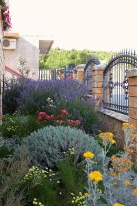 Apartment Maslenica 6572c