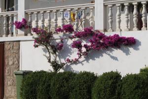 Apartment Starigrad 6587b