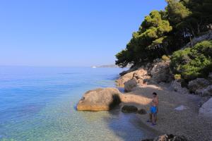 Studio Balica Rat 1065a