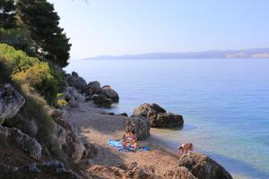 Studio Balica Rat 1065a