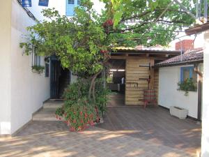 Studio Sucuraj 6852a