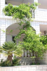 Studio Stara Novalja 6469a