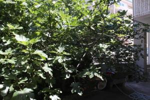 Triple Room Baska Voda 6748a