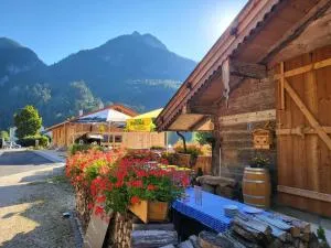 Nickis Bergcamp - Schneizlreuth