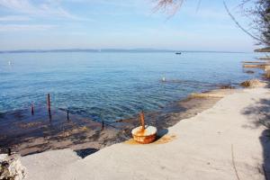 Apartments by the sea Kozino, Zadar - 11169 