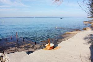 Apartments by the sea Kozino, Zadar - 11169