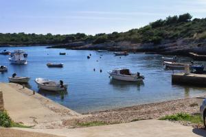 Apartments by the sea Rukavac, Vis - 1154