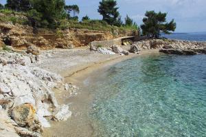 Apartments by the sea Ivan Dolac, Hvar - 12644