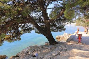 Apartments by the sea Trogir - 14907