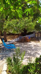 Almond trees house