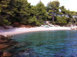 Seaside secluded apartments Zavala, Hvar - 15357