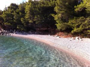 Seaside secluded apartments Zavala, Hvar - 15357