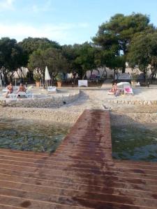 Apartments with a parking space Petrcane, Zadar - 15508