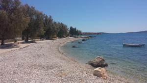 Apartments by the sea Bibinje, Zadar - 16752