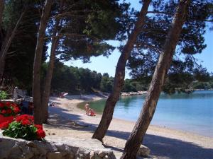 Apartments with a parking space Drage, Biograd - 17392 