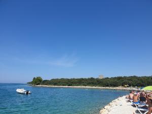 Family friendly apartments with a swimming pool Kozino, Zadar - 18121 