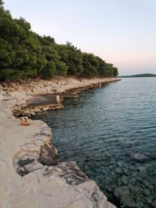 Apartments by the sea Drage, Biograd - 19189