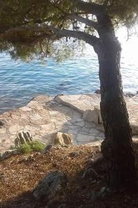 Apartments by the sea Drage, Biograd - 19189