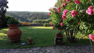 Villa La Liccia Misia