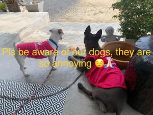 Phangan Hometown Resort - Adults Only