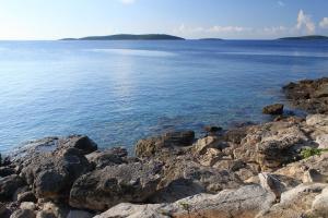 Apartments by the sea Milna, Vis - 3036