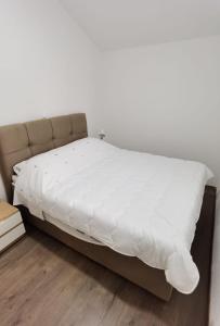 Apartments by the sea Ugljan - 19580