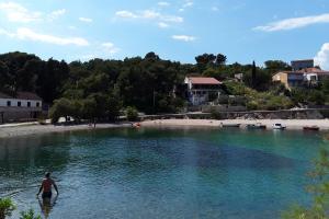 Family friendly apartments with a swimming pool Rogac, Solta - 19809