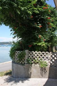Apartments by the sea Supetarska Draga Donja Rab 5042