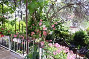 Apartments with a parking space Palit, Rab - 4983