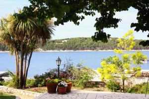Apartments and rooms by the sea Barbat, Rab - 4973 