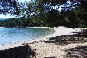 Apartments by the sea Vrboska (Hvar) - 4601