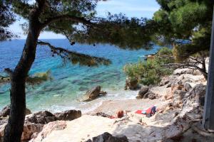 Apartments by the sea Ivan Dolac, Hvar - 4584