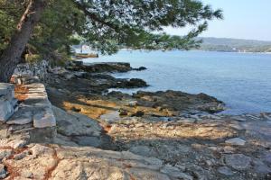 Apartments by the sea Necujam, Solta - 5186