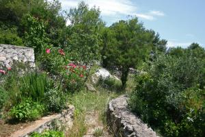 Apartments by the sea Tisno, Murter - 5142