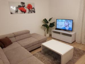 Family-friendly apartments with swimming pool Barbat, Rab - 4951