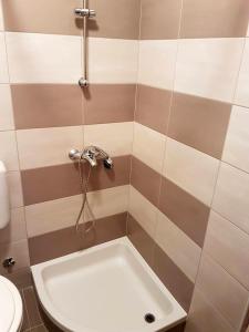 Family-friendly apartments with swimming pool Barbat, Rab - 4951