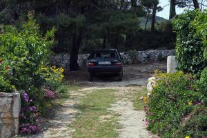 Apartments and rooms by the sea Cove Saplunara, Mljet - 4907