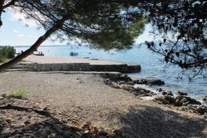 Family friendly seaside apartments Kozino, Zadar - 5749