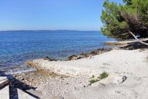 Family friendly seaside apartments Kozino, Zadar - 5749