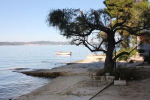 Apartments by the sea Bibinje, Zadar - 5758 